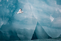 Svalbard-8