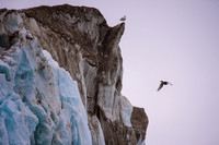 Svalbard-12