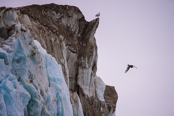 Svalbard-12