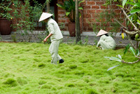 Vietnam-6