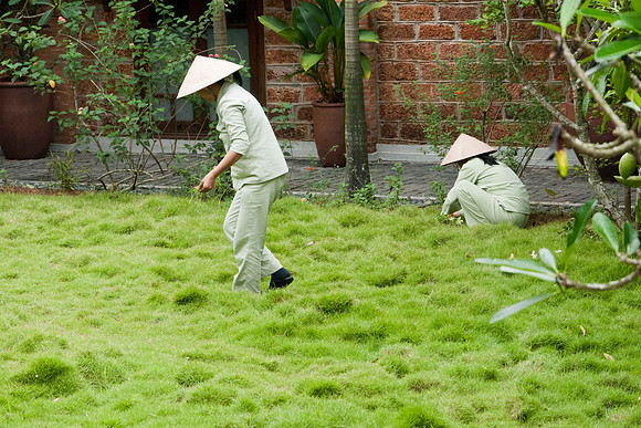 Vietnam-6