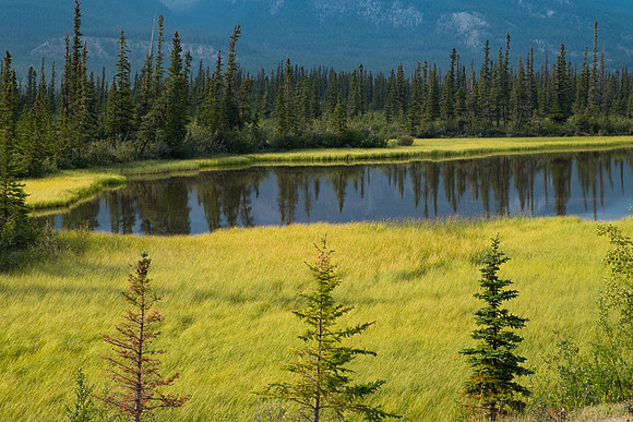 Canadian Rockies-30