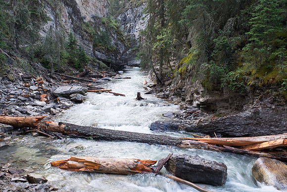 Canadian Rockies-14