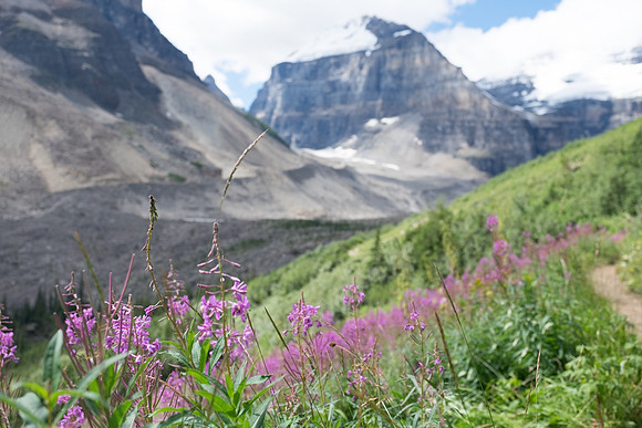 Canadian Rockies-22