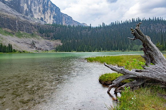 Canadian Rockies-12