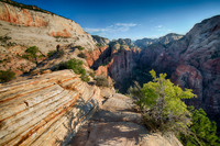 Zion