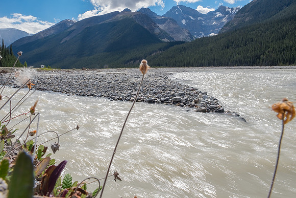 Canadian Rockies-27