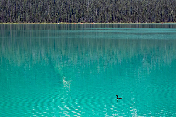 Canadian Rockies-42