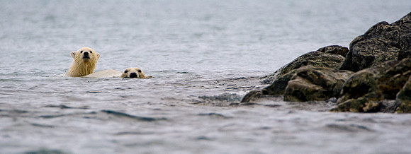 Svalbard-24
