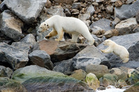 Svalbard-10