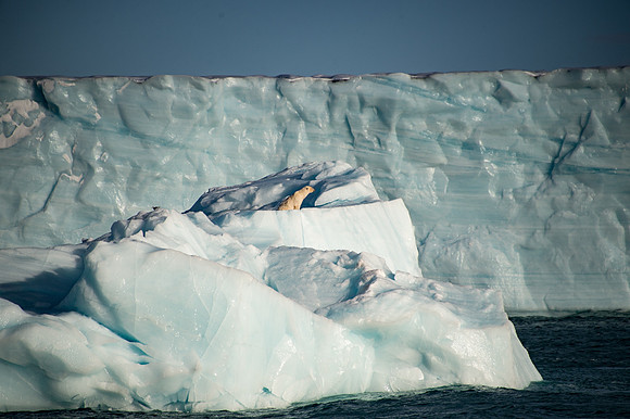 Svalbard-42