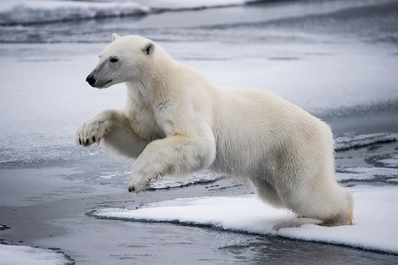 Svalbard-17