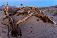 Sand dunes 2