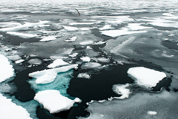 Svalbard-30