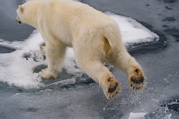 Svalbard-23
