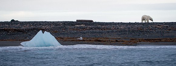 Svalbard-38