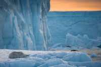 Svalbard-13