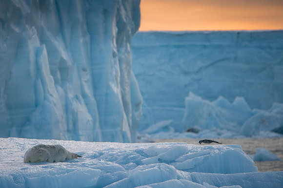 Svalbard-13