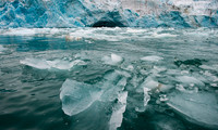 Svalbard-16