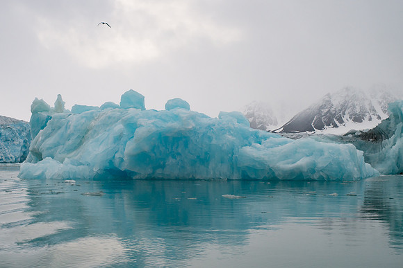 Svalbard-31