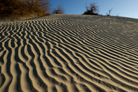 Sand dunes
