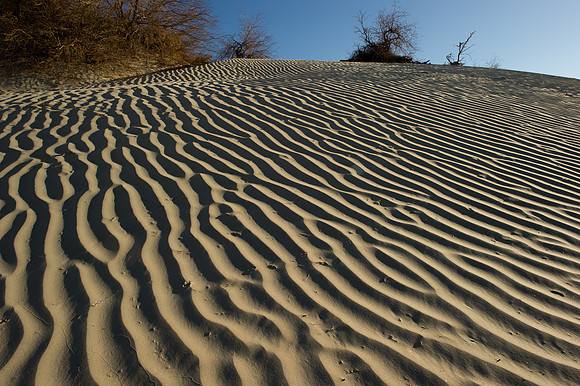 Sand dunes