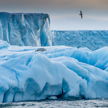 Svalbard-41